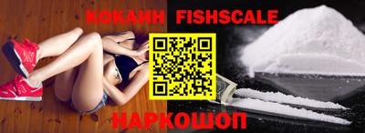 гашик Кингисепп