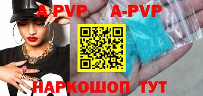 гашик Кингисепп