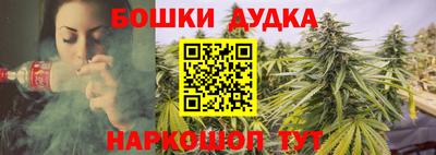 гашик Кингисепп