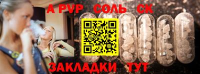 гашик Кингисепп