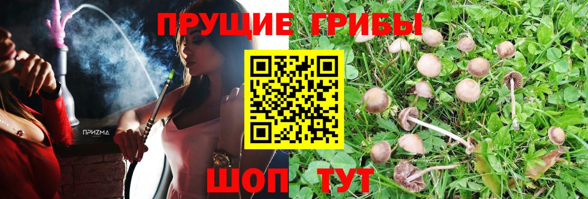 Краснокаменск  Галлюциногенные грибы ЛСД  Вход с VPN 